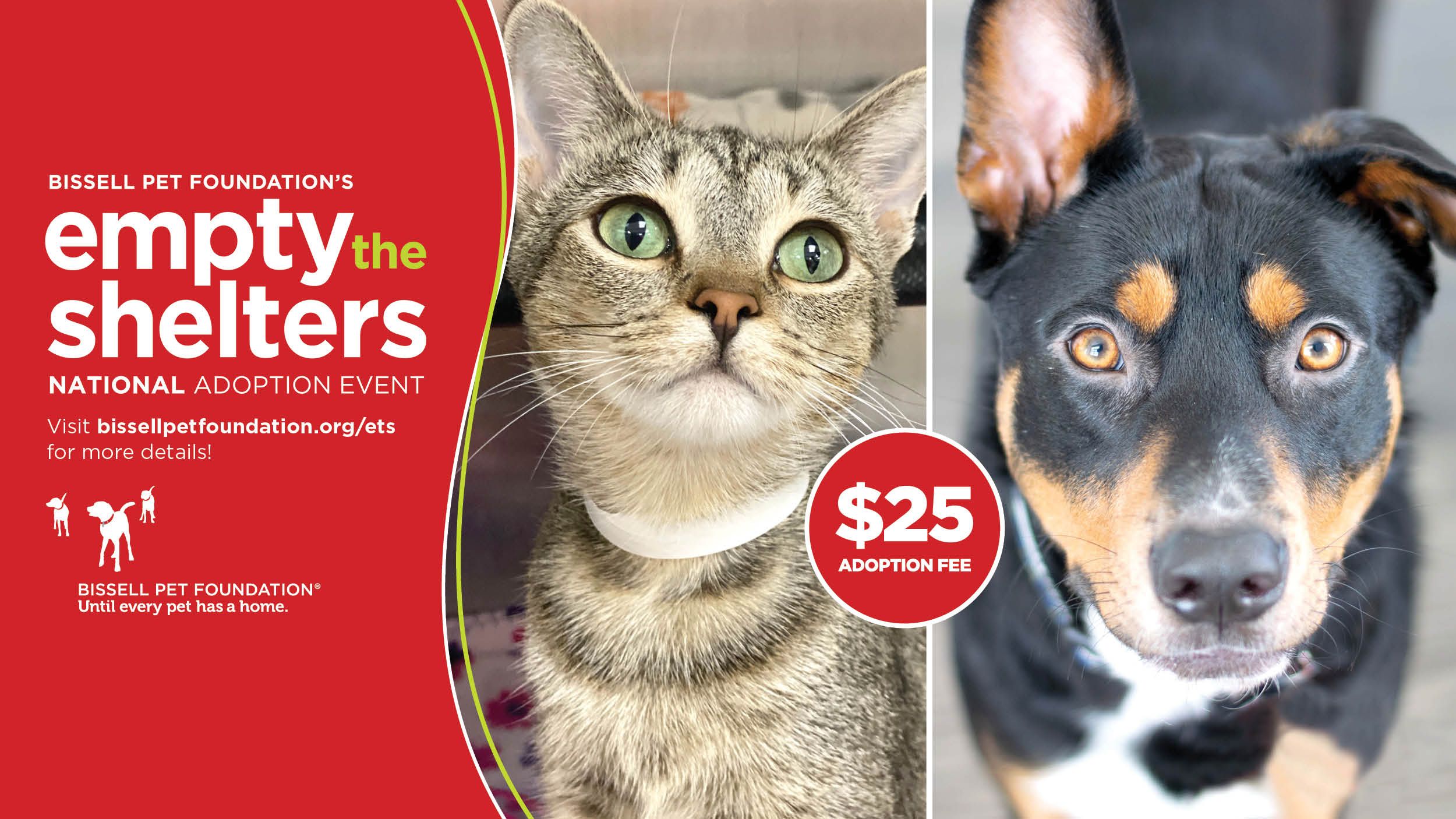 Adoption Event @ Medical Care Center